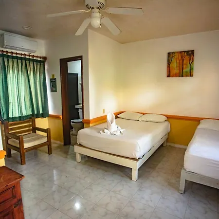 Hotel Vista Caribe 5Ta Av A 5 Pasos De La Playa Playa del Carmen Exterior photo